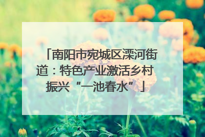 南阳市宛城区溧河街道：特色产业激活乡村振兴“一池春水”
