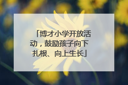 博才小学开放活动，鼓励孩子向下扎根、向上生长
