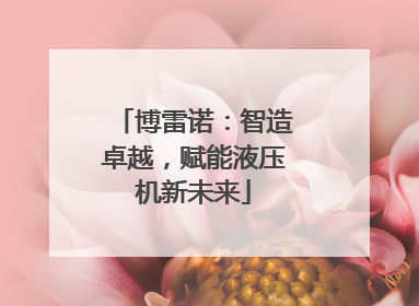 博雷诺：智造卓越，赋能液压机新未来