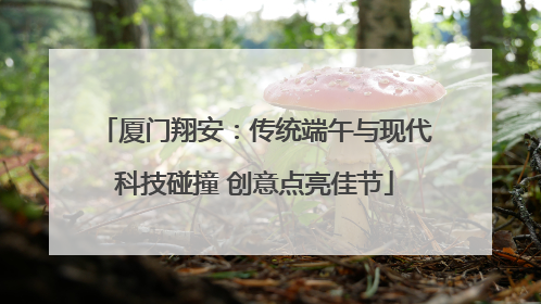 厦门翔安：传统端午与现代科技碰撞 创意点亮佳节