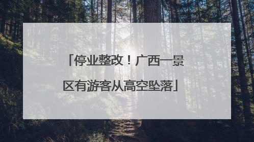 停业整改！广西一景区有游客从高空坠落