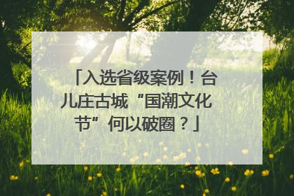 入选省级案例！台儿庄古城“国潮文化节”何以破圈？