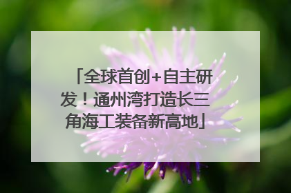 全球首创+自主研发！通州湾打造长三角海工装备新高地