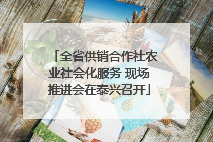 全省供销合作社农业社会化服务 现场推进会在泰兴召开