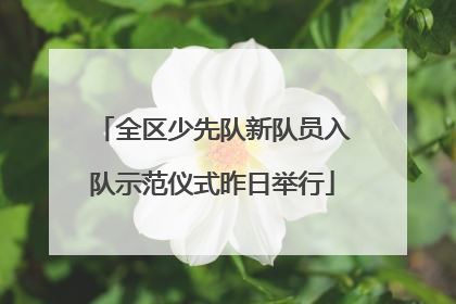 全区少先队新队员入队示范仪式昨日举行