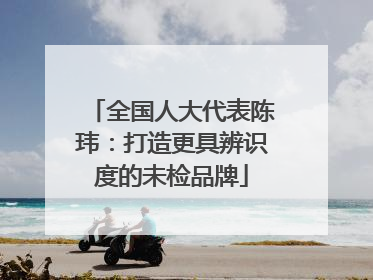 全国人大代表陈玮：打造更具辨识度的未检品牌