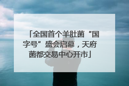 全国首个羊肚菌“国字号”盛会启幕，天府菌都交易中心开市