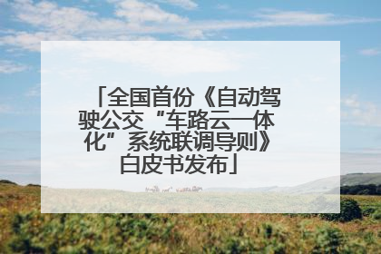 全国首份《自动驾驶公交“车路云一体化”系统联调导则》白皮书发布