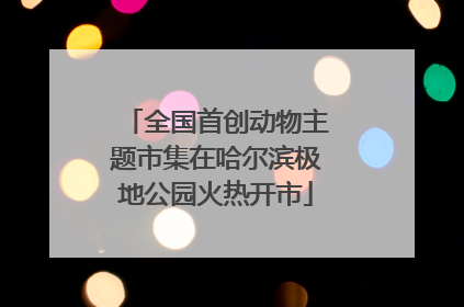全国首创动物主题市集在哈尔滨极地公园火热开市