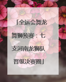 全运会舞龙舞狮预赛：七支河南龙狮队晋级决赛圈