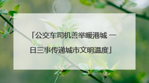 公交车司机善举暖港城 一日三事传递城市文明温度