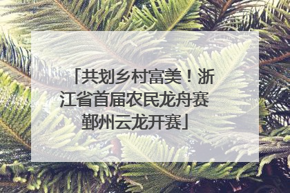 共划乡村富美！浙江省首届农民龙舟赛鄞州云龙开赛