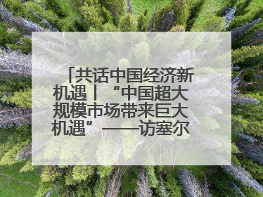 共话中国经济新机遇丨“中国超大规模市场带来巨大机遇”——访塞尔维亚经济部国务秘书尼科利奇
