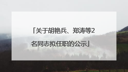关于胡艳兵、郑涛等2名同志拟任职的公示