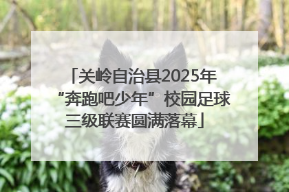 关岭自治县2025年“奔跑吧少年”校园足球三级联赛圆满落幕