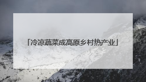 冷凉蔬菜成高原乡村热产业