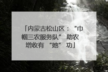 内蒙古松山区：“巾帼三农服务队” 助农增收有 “她” 功