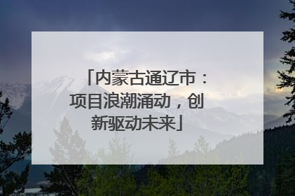 内蒙古通辽市：项目浪潮涌动，创新驱动未来