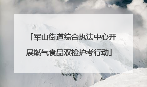 军山街道综合执法中心开展燃气食品双检护考行动