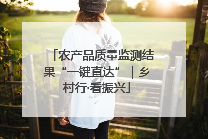 农产品质量监测结果“一键直达”｜乡村行·看振兴