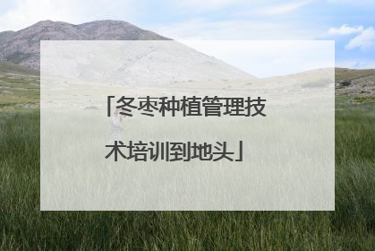 冬枣种植管理技术培训到地头