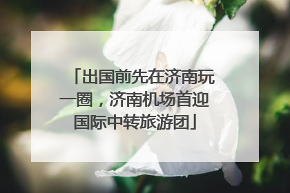 出国前先在济南玩一圈，济南机场首迎国际中转旅游团