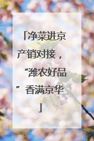净菜进京产销对接，“潍农好品”香满京华