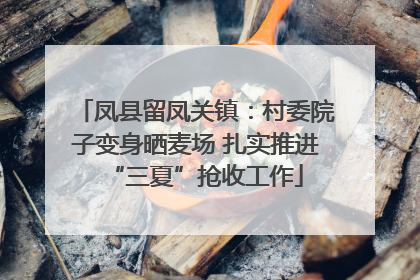 凤县留凤关镇：村委院子变身晒麦场 扎实推进“三夏”抢收工作