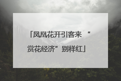 凤凰花开引客来 “赏花经济”别样红