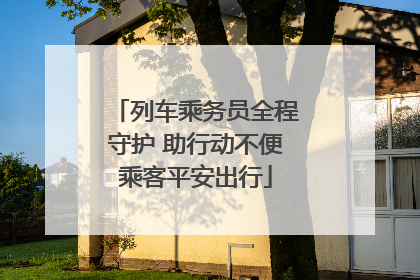 列车乘务员全程守护 助行动不便乘客平安出行