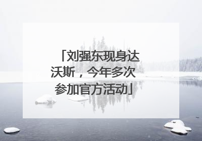 刘强东现身达沃斯，今年多次参加官方活动