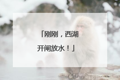 刚刚，西湖开闸放水！