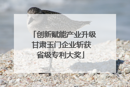 创新赋能产业升级 甘肃玉门企业斩获省级专利大奖