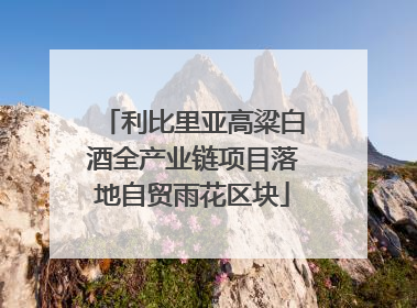 利比里亚高粱白酒全产业链项目落地自贸雨花区块