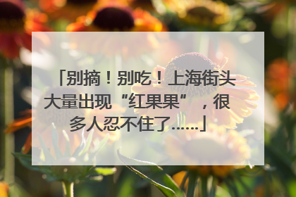 别摘！别吃！上海街头大量出现“红果果”，很多人忍不住了……
