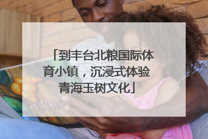到丰台北粮国际体育小镇，沉浸式体验青海玉树文化