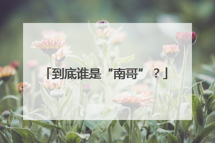 到底谁是“南哥”？
