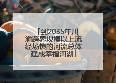 到2035年川渝跨界规模以上流经场镇的河流总体建成幸福河湖