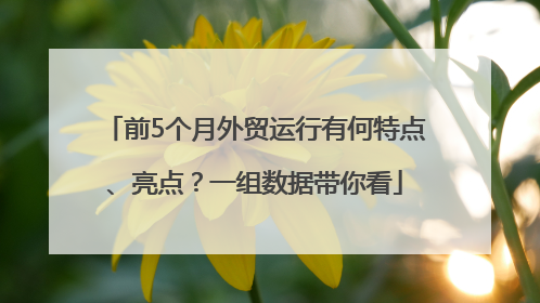 前5个月外贸运行有何特点、亮点？一组数据带你看