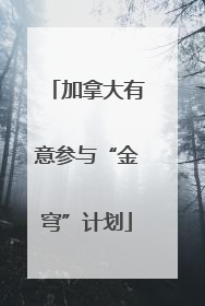 加拿大有意参与“金穹”计划
