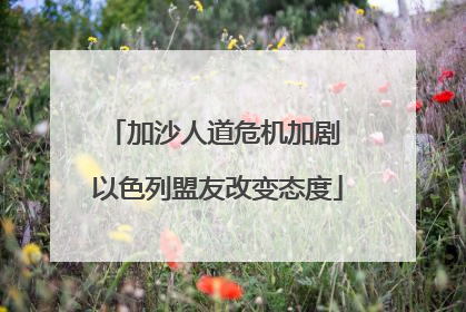 加沙人道危机加剧 以色列盟友改变态度