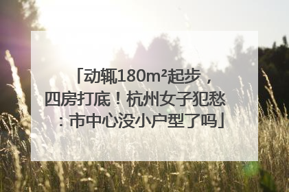 动辄180m²起步，四房打底！杭州女子犯愁：市中心没小户型了吗