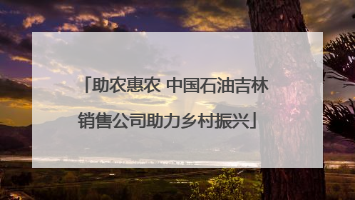 助农惠农 中国石油吉林销售公司助力乡村振兴