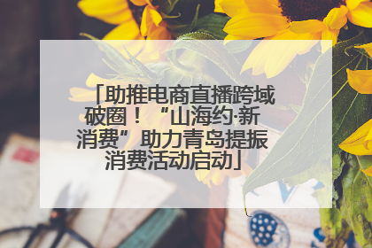 助推电商直播跨域破圈！“山海约·新消费”助力青岛提振消费活动启动