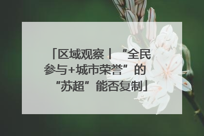 区域观察丨“全民参与+城市荣誉”的“苏超”能否复制