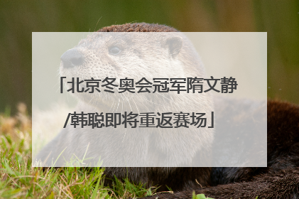 北京冬奥会冠军隋文静/韩聪即将重返赛场