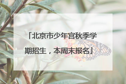 北京市少年宫秋季学期招生，本周末报名