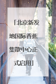 北京新发地国际香蕉集散中心正式启用