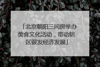 北京朝阳三间房举办美食文化活动，带动辖区银发经济发展