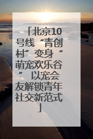 北京10号线“青创村”变身“萌宠欢乐谷” 以宠会友解锁青年社交新范式